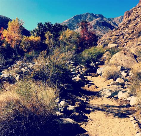 Sort the list by any column, and click on a dollar sign to see the latest prices available for each flight. Hike: Palm Springs - Andreas Canyon | No Heels Just Sneakers