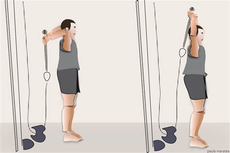 Cable Rope Overhead Triceps Extension Paulas Weekly Exercises