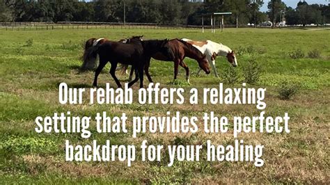 Batsar fence & co., provides central florida with security and ornamental fence construction services to commercial and residential clients. How Drug and Alcohol Rehab in Ocala Helps with Sobriety ...