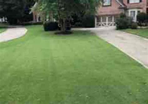 Dallas Tx Lawn Care Service Lawn Mowing From 19 Best Of 2023