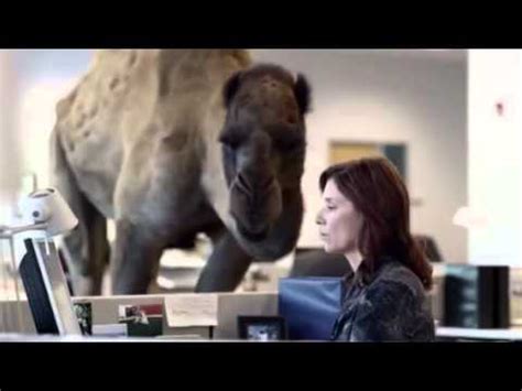 Check out some of the best starter packs from this week and see where you land. Who Dat Day (in my camel voice!) - YouTube
