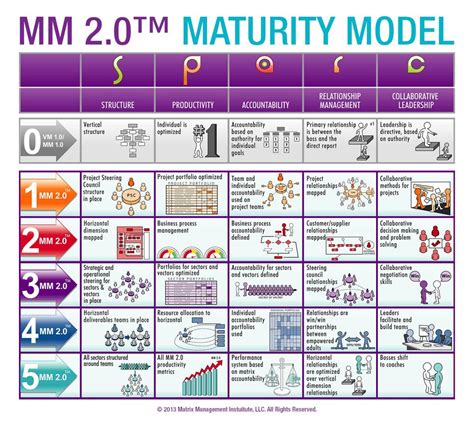 What Is The Matrix Management 20 Maturity Model Mmi