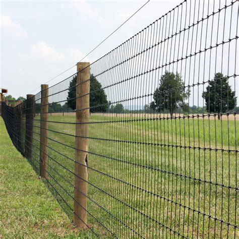 Create A Secure Space With No Climb Horse Fence For Sale