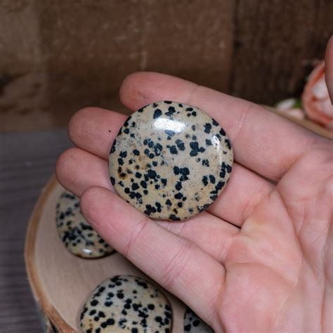 Small Dalmation Stone Palmstone The Crystal Council