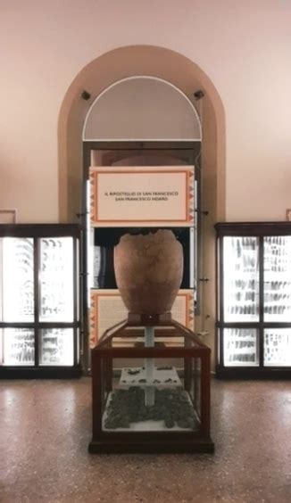Bologna Al Museo Civico Archeologico Nuovo Allestimento Del