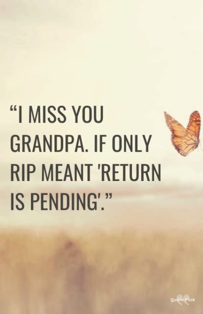 25 Miss You Grandpa Quotes To Help You Through Grief