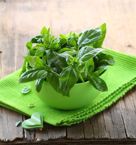 5 Things You Should Know About Basil Black Health Matters