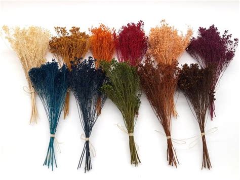 The easiest part of that is you can decorate the them specially for any occasion. Welcome to our shop :) These small dried flowers are great ...