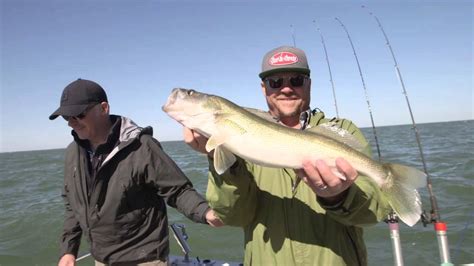 Pure Michigan Lake Erie Walleye Fishing Youtube