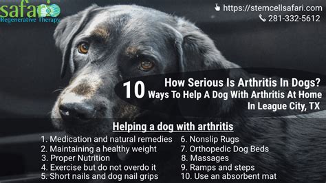 How Serious Is Arthritis In Dogs 10 Ways To Help A Dog With Arthritis
