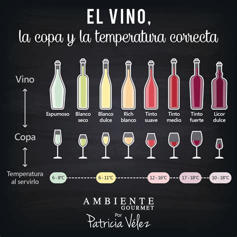 Conoce La Temperatura Y La Copa Ideal Para Cada Vino Bar Drinks Wine