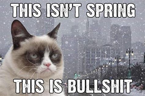 Ikr Exactly What I Think About Snow Coming In Spring If