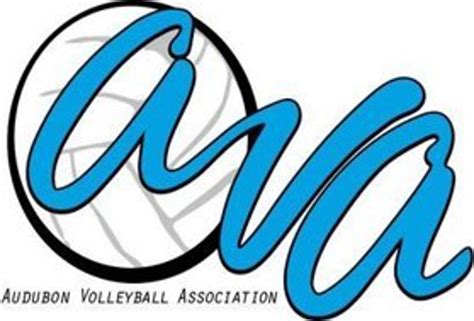 audubon volleyball association
