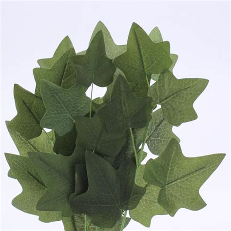 We did not find results for: Silk English Ivy Leaf Foliage Picks - Corsage/Boutonniere ...