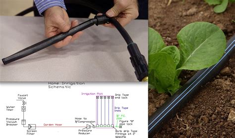 You can plug the emitters drip irrigation systems are not a one fits all devices, as plants do not require the same amounts of water. How to install home garden drip irrigation | Drip ...