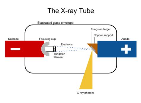 Radiographysics The X Ray Tube