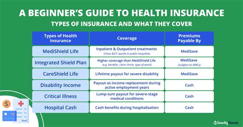 A Beginners Guide To Health Insurance All You Need To Know And Types