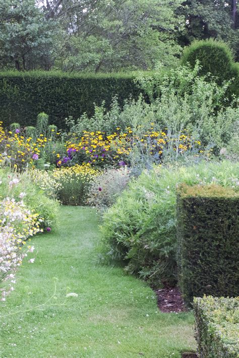We did not find results for: Which hedge is right for my garden? - The Middle-Sized ...