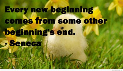 Spring New Beginnings Quotes Quotesgram