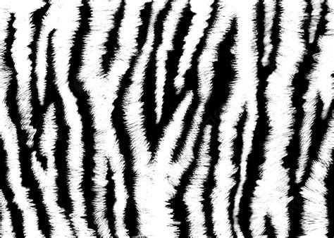 Abstract Texture Tiger Stripe Black And White Background Stripe Tiger