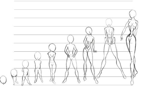 In this lesson you'll learn about the basic proportions that you need to keep in mind when you're drawing children. Evolucion femenina 1 | Drawing people, Art reference, Drawings