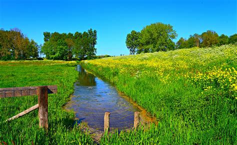 By liz sommer · published on september 17, 2020. What Does It Mean to Dream of a Ditch? - Dream Glossary ...