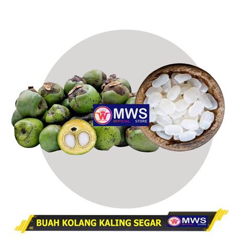 Jual Buah Kolang Kaling Segar Mateng Buah Aren Mws Official Store