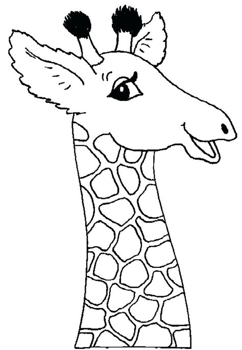 There are numerous issues simply being openly displayed and distributed for free on the internet, which include printable. Giraffe Face Drawing at GetDrawings | Free download