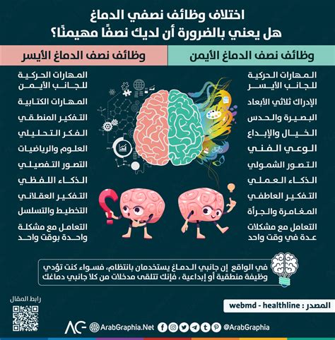 انفوجرافيك أيهما تستخدم أكثر نصف الدماغ الأيمن أم الأيسر؟ arab graphia