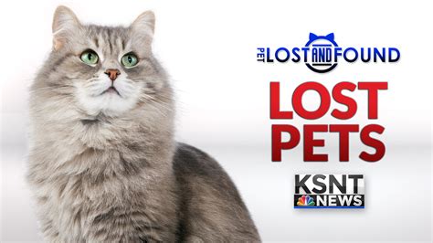 Pet Lost And Found Ksnt 27 News