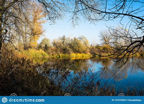 Beautiful Autumn Landscape Trees Reflected In The Water