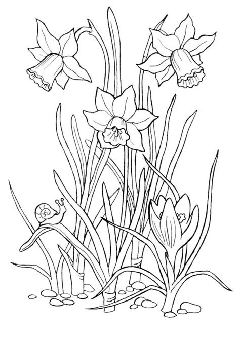 Planse primavara ghioceii flori primavara flori primăvară și. Desene cu Flori de Primavara de colorat, imagini și planșe ...