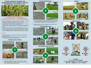 Penanaman padi di kawasan pedalaman sarawak. PRODUCT DESIGN 1 by Inspiration: Cara Menanam Padi yang baik