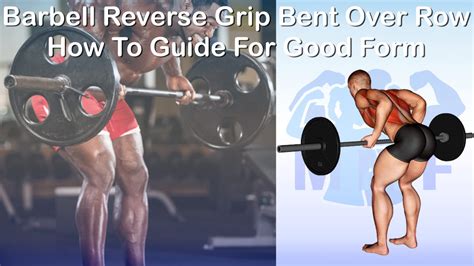 Barbell Reverse Grip Bent Over Row How To Guide For Good Form