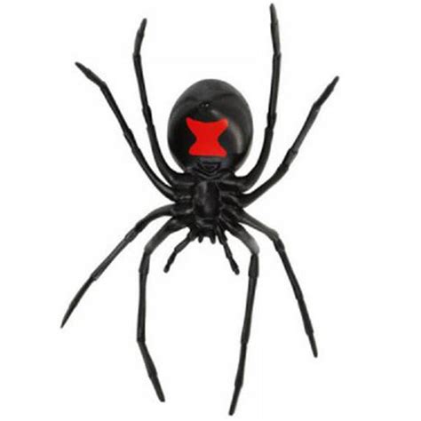 It belongs to a group of almost all species of black widow spider have the same body structure. Black Widow Spider Hidden Kingdom Figure Safari Ltd ...