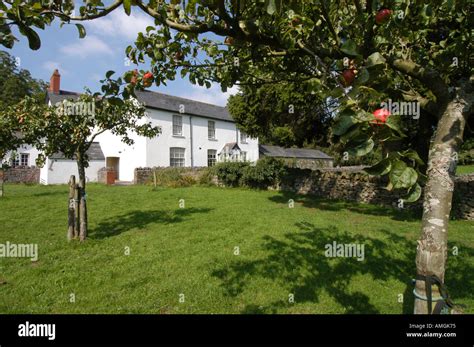 Farmhouse And Apple Tree Museum Of Welsh Life St Fagans Cardiff Suburbs