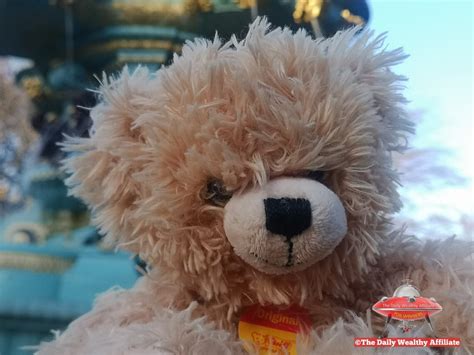 Steiff Fluffy Teddy Bear For Friendship And Love Adorable Etsy