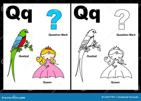 Letter Q Worksheet Stock Vector Illustration Of Education 24257705