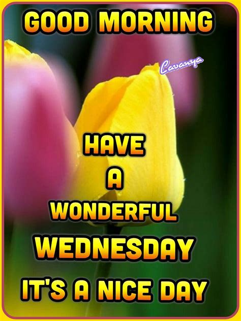 Good Morning Have A Wonderful Wednesday Its A Nice Day Good Morning