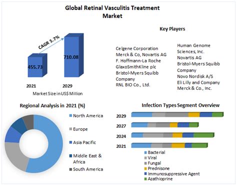 Retinal Vasculitis Treatment Market End User And Forecast 2022 2029
