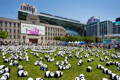 Pandas In Seoul