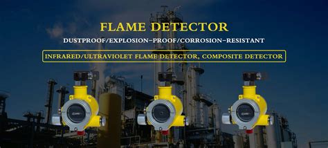 This work reports a fast and reliable analytical method for the screening of priority pesticides (pps) in ulva sp. Flame detector|Gas detector|Dust detector|Alcohol content ...