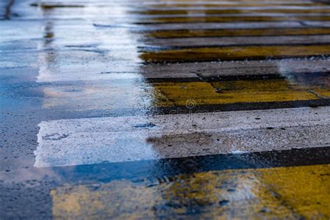 View Of Street Pavement Wet After Rain With Water Puddles Stock Photo