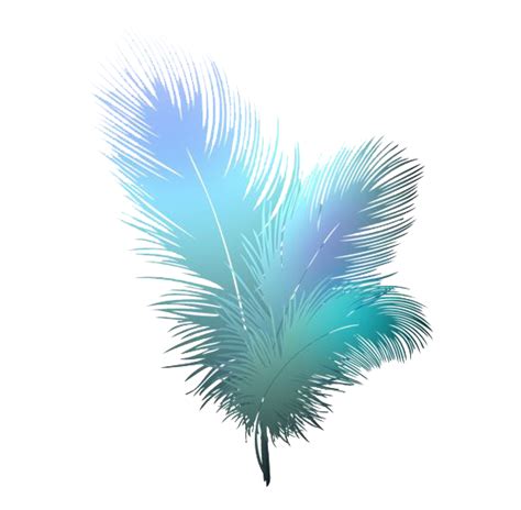 Bird Feather Clip Art Feather Png Download 550539 Free