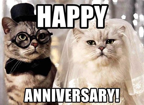 Wedding Anniversary Meme For Wife Husband And Loved Ones