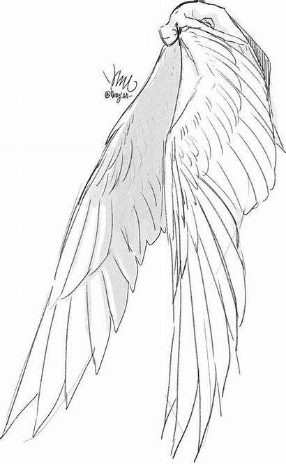 Drawing Wings Reference Poses Anime Pose Draw