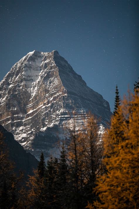 Mount Assiniboine Under A Moon Taylor Burk Photography