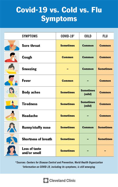 Stomach Bug 2024 Contagious Timeline Dasi Missie