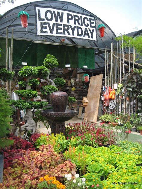 This nursery has been around for years, and it's popular among locals in the area. MY GREEN FINDER | Plant Vendors: Weng Thye Brothers ...