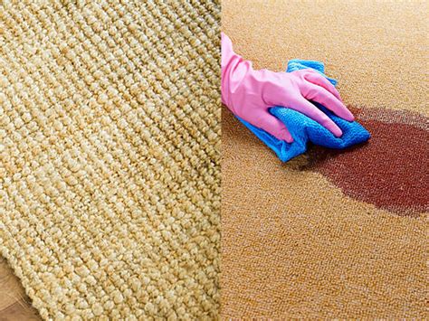 Sisal rugs are constructed from the natural fibers found in the leaves of the agave sisalana, a plant that is found in central america. Organic Sisal Rug Cleaning Service Ft. Lauderdale, Sisal ...